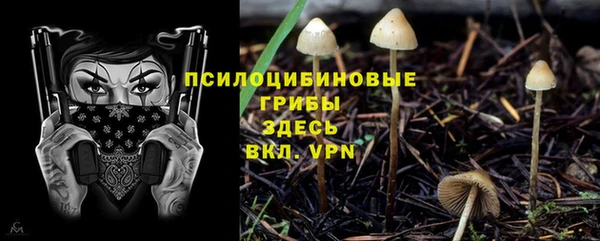 дурь Белокуриха