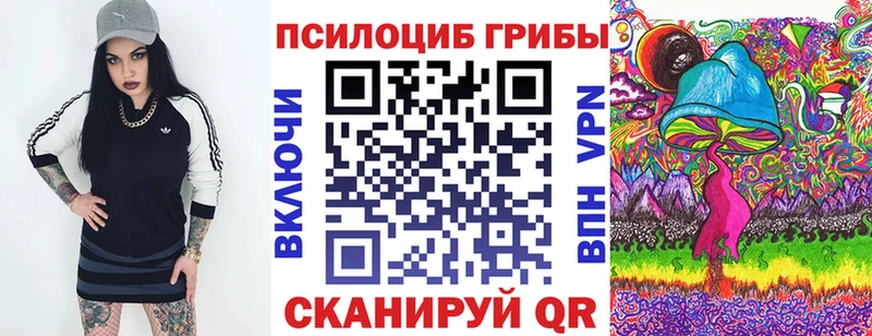 купить наркоту  Кохма  кракен ссылки  Псилоцибиновые грибы прущие грибы 