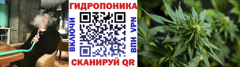Каннабис White Widow  наркотики  Кохма 